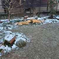 画像1334