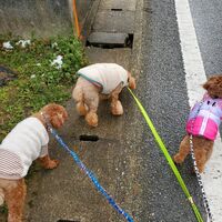 画像1336