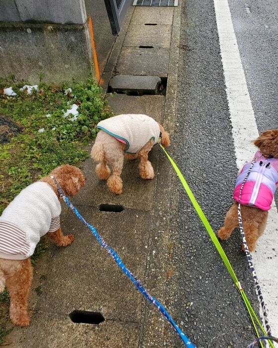 画像1336