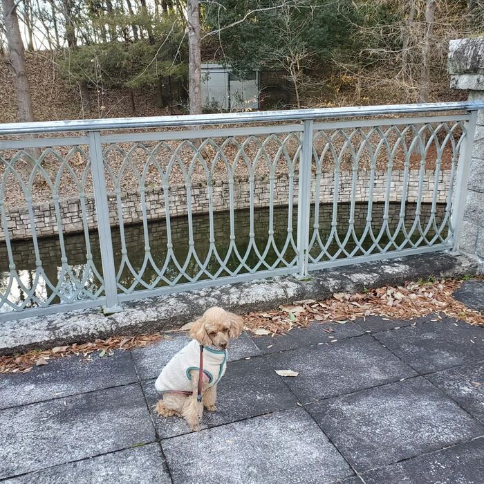 画像1343