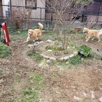 画像1351