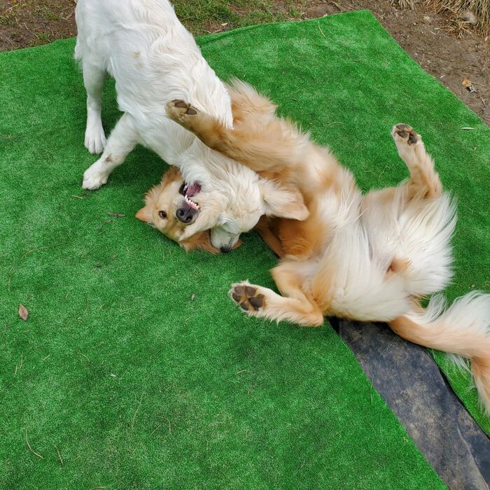 画像1406