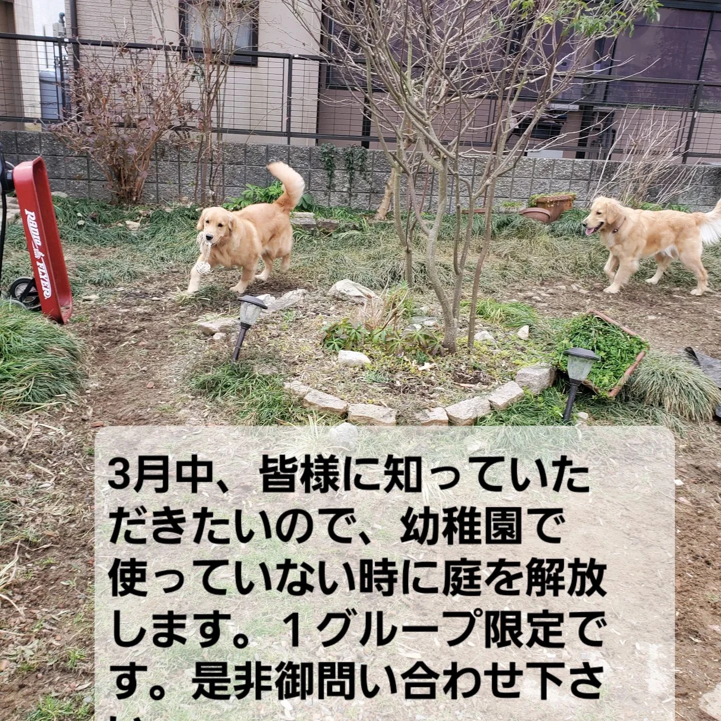 画像1425