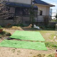 画像1442