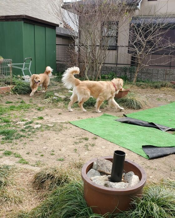 画像1447