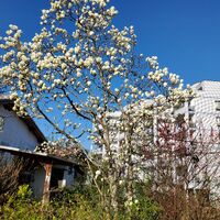 画像1450