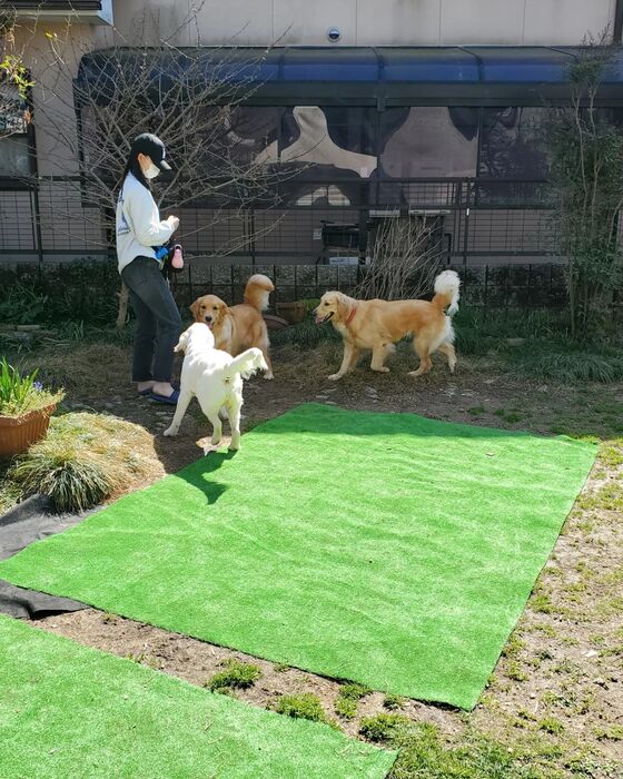 画像1471