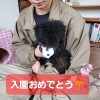 画像1500
