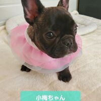 画像1538