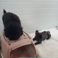 画像1541