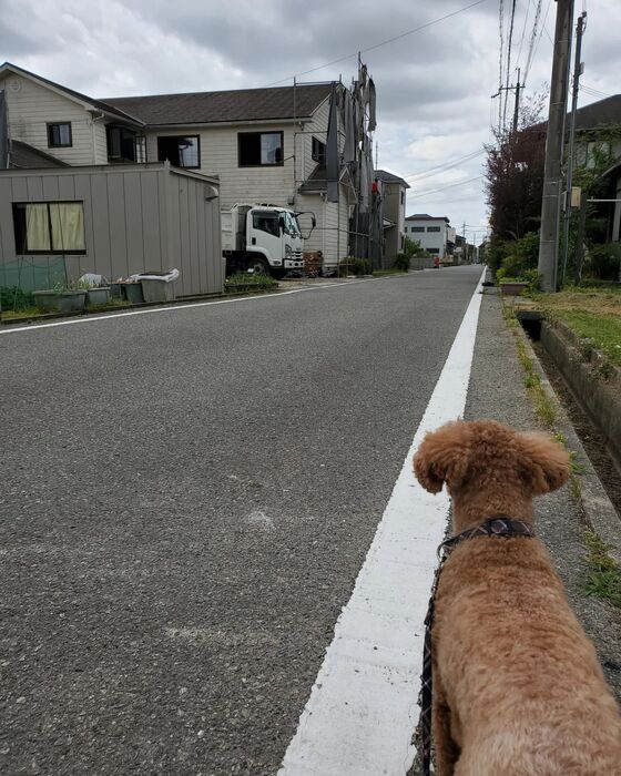 画像1665