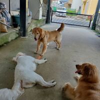 画像1958