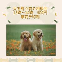 画像2051