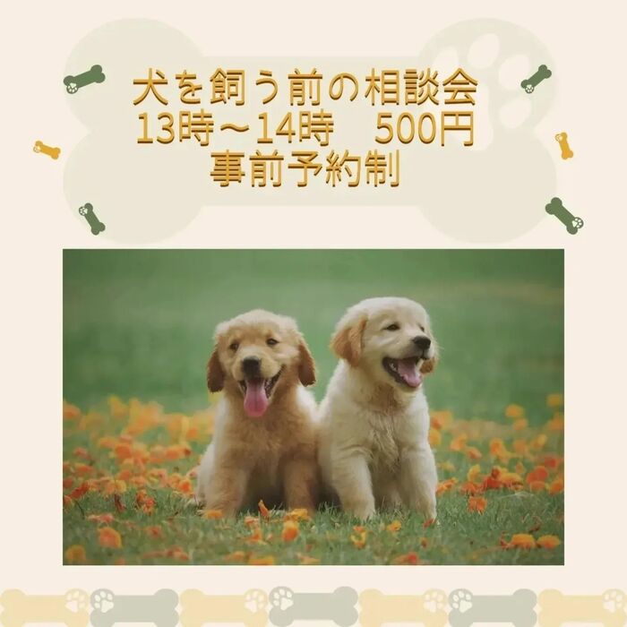 画像2051