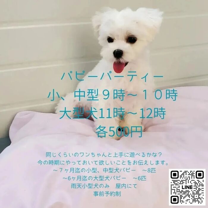 画像2068