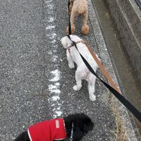 画像2109
