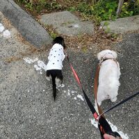 画像2110