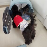 画像2112
