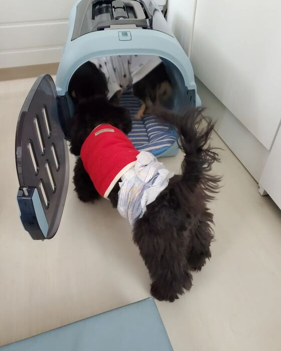 画像2112