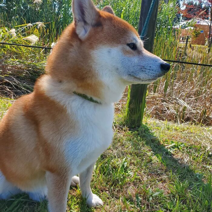 画像2115