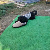画像2134