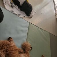 画像2159