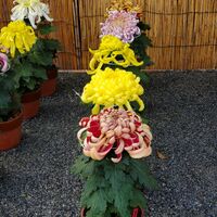 画像2161