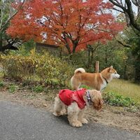 画像2262