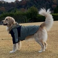 画像2284