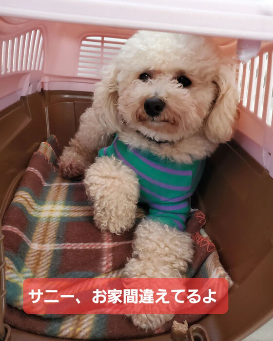 画像2365