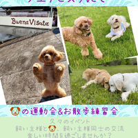 画像2385