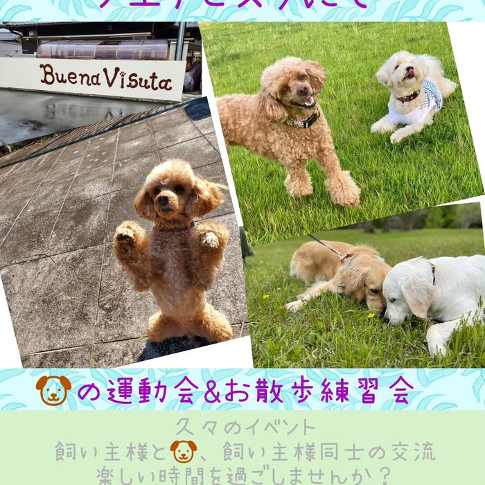 画像2385