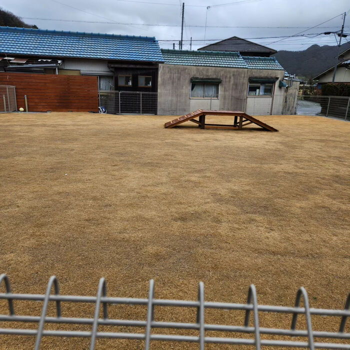 画像2386