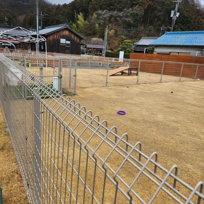 画像2387