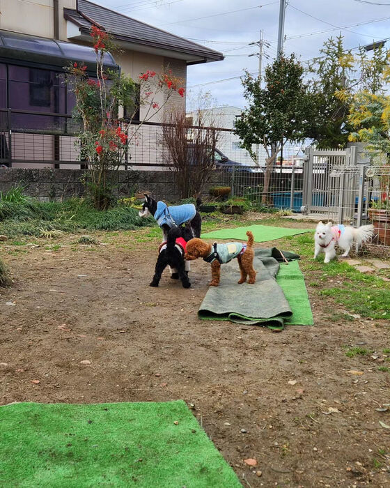画像2408