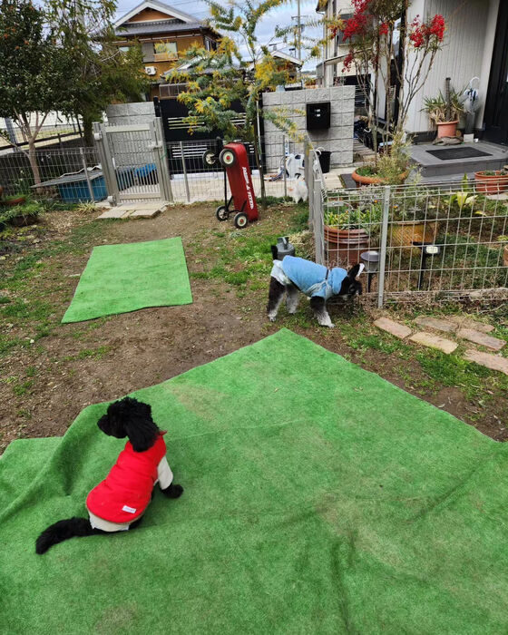 画像2409