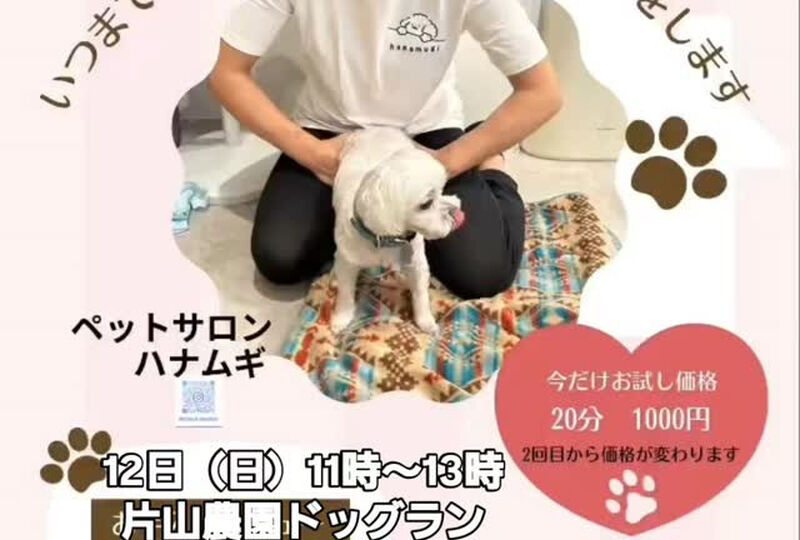 動画サムネイル