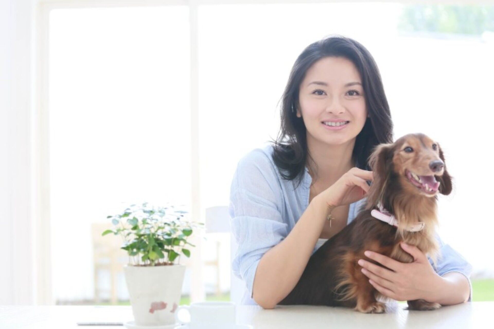 加東市 犬のしつけ教室